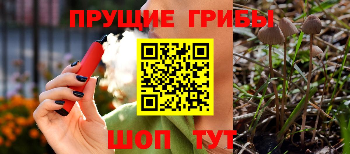 Галлюциногенные грибы ЛСД Чапаевск